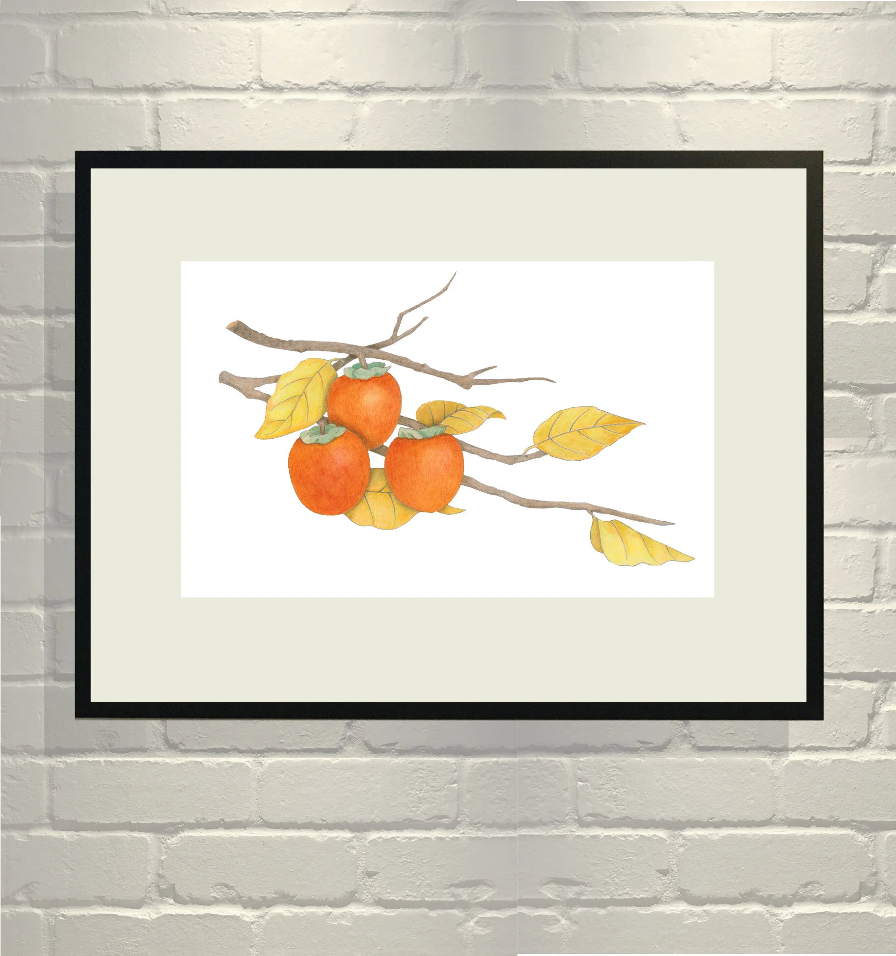 Three Persimmons Botanical on Black — VMazzoni